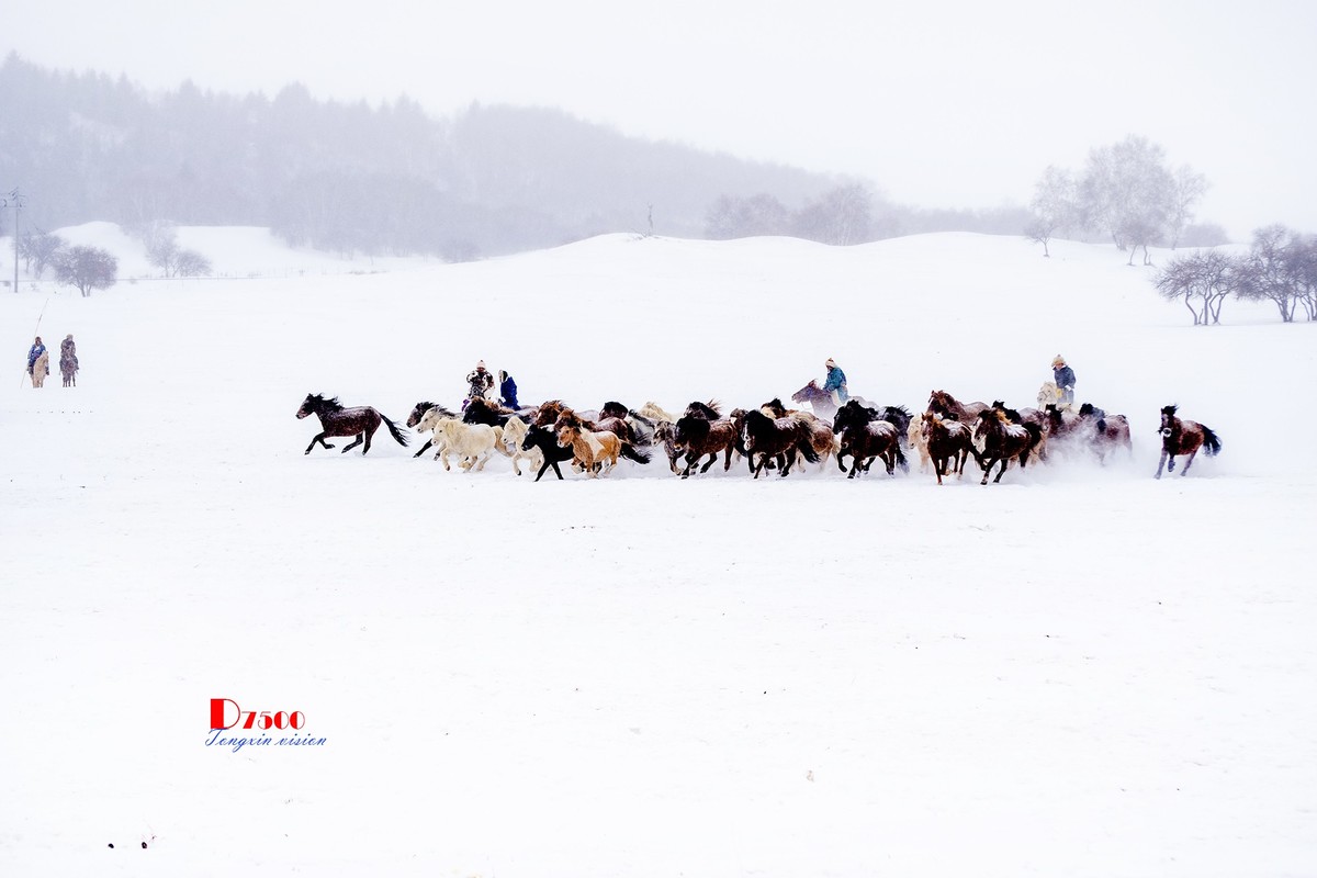 策马奔腾（42）