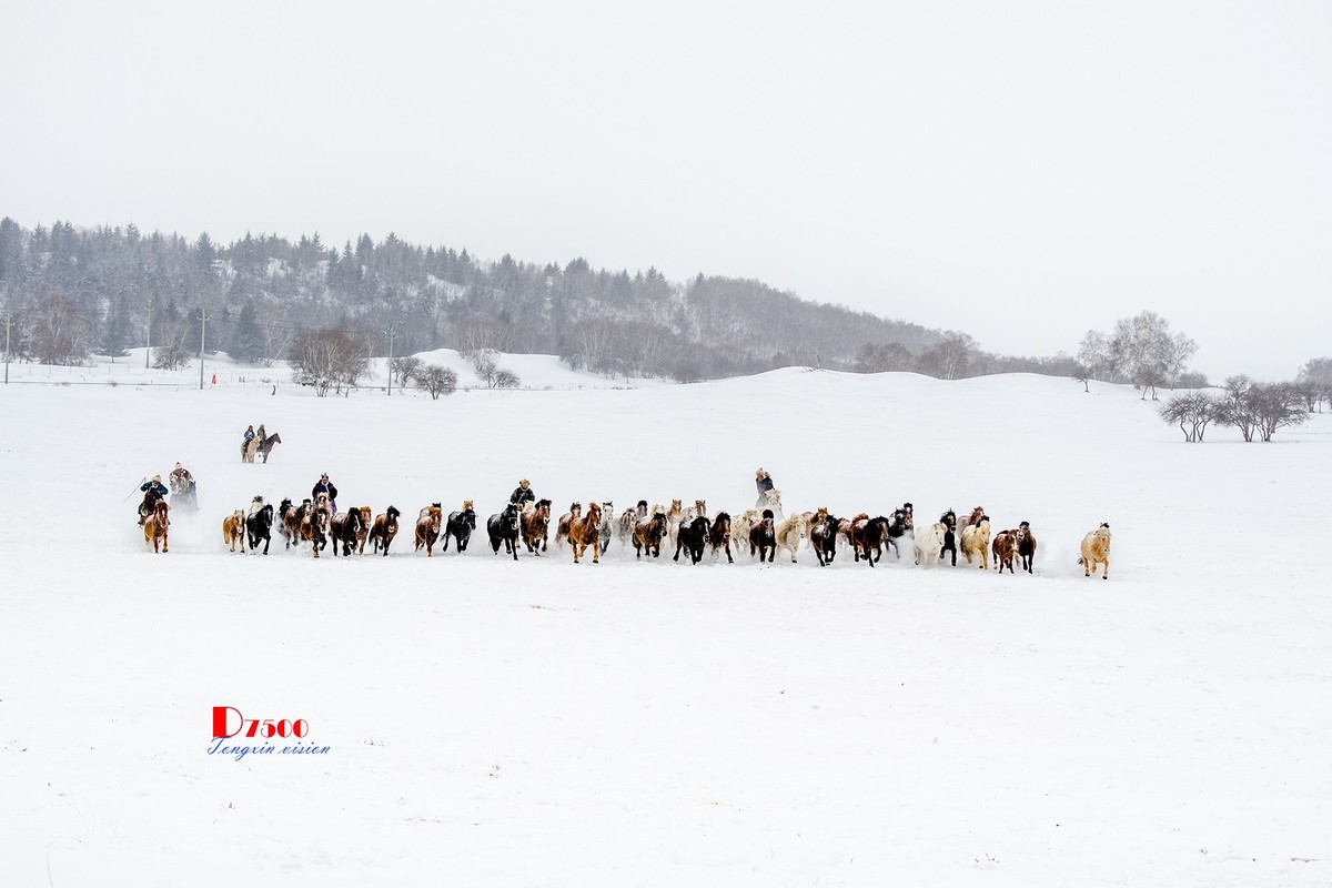 策马奔腾（42）