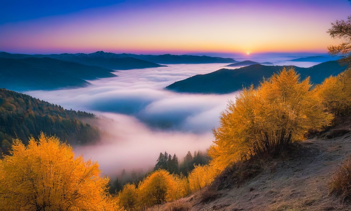 那一抹温暖与宁静