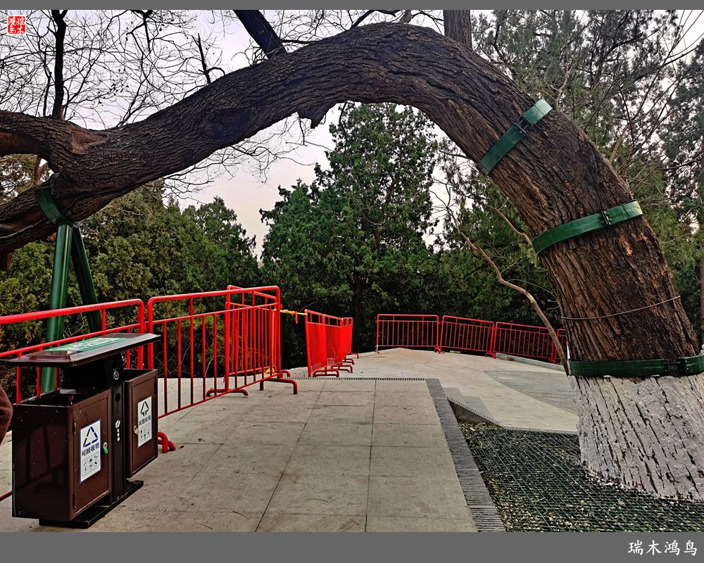 【京城寺庙集锦】62.翠微入画烟云供养宜——小巧三山庵