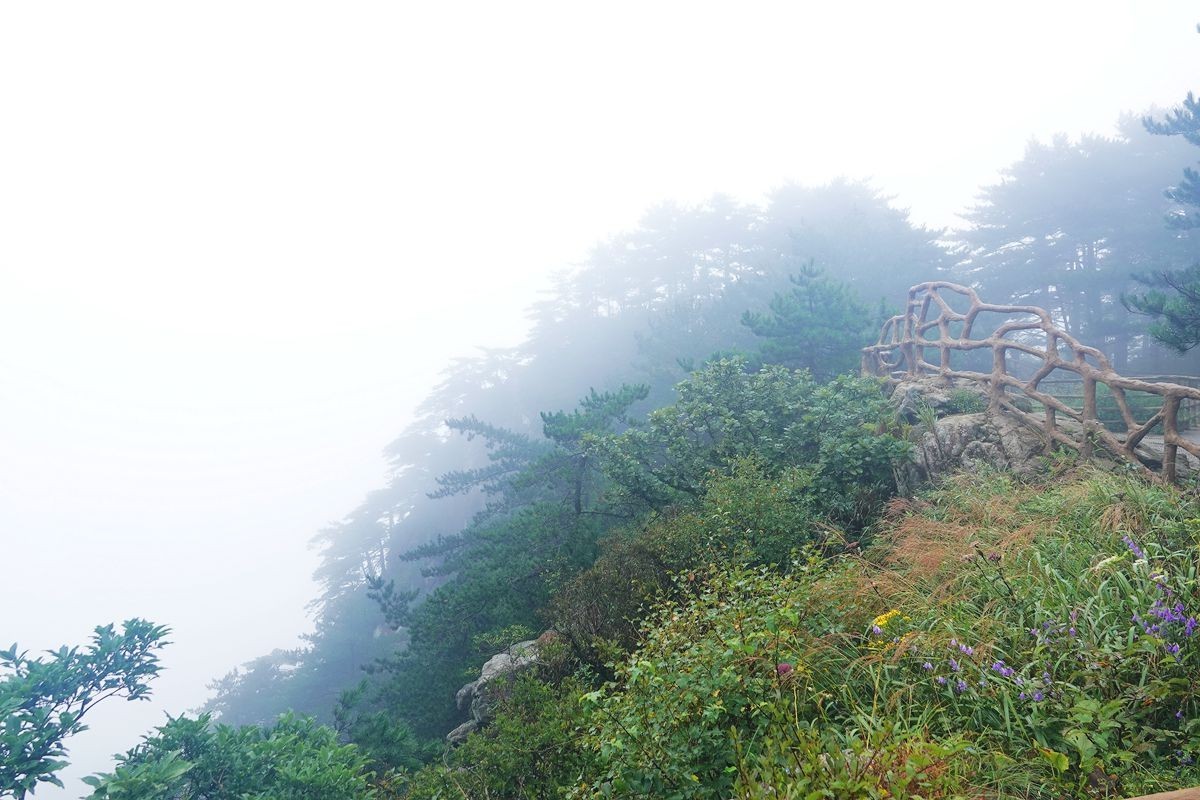 大别山雨中景色（2）