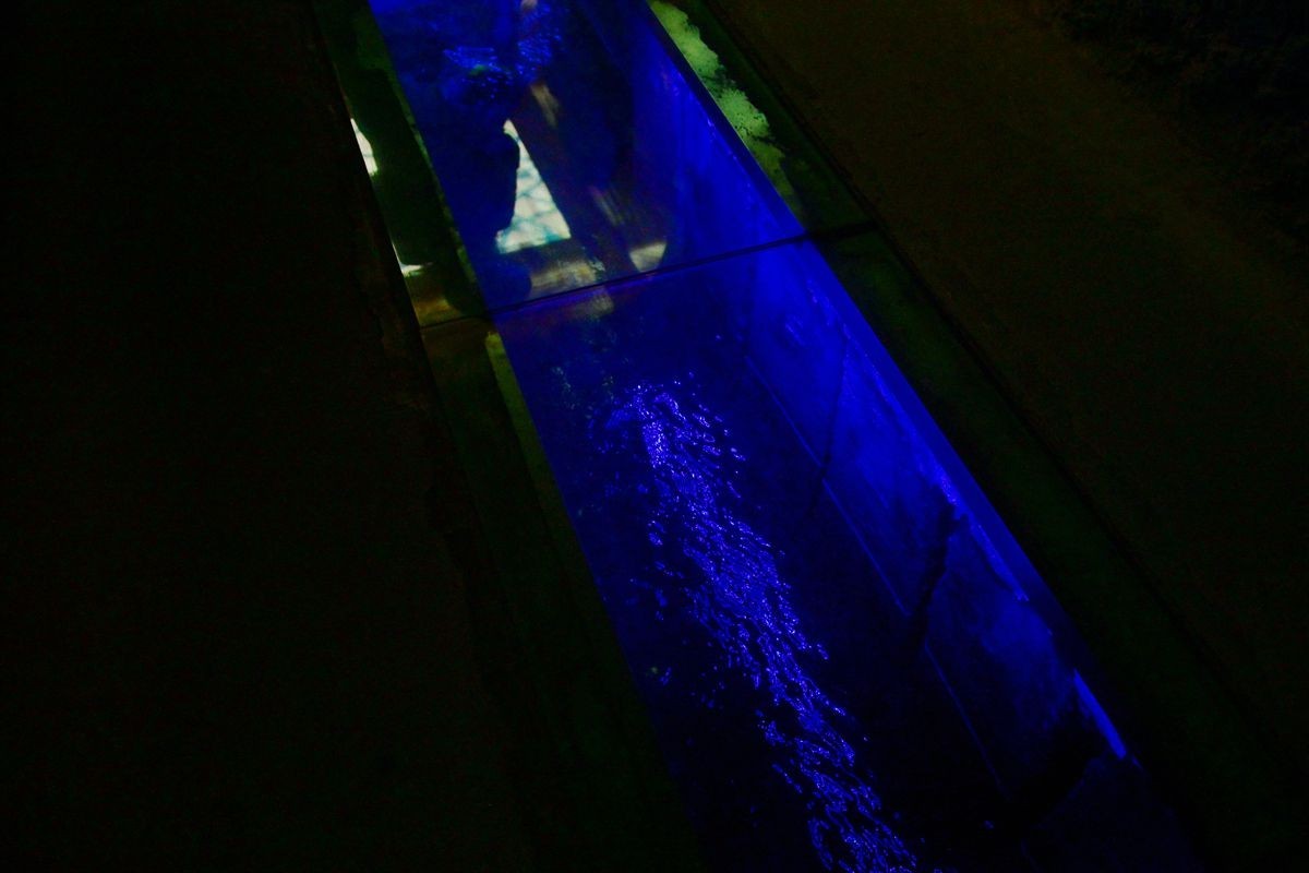 北 疆 游 { 吐 鲁 番 坎 儿 井 } { 113 }