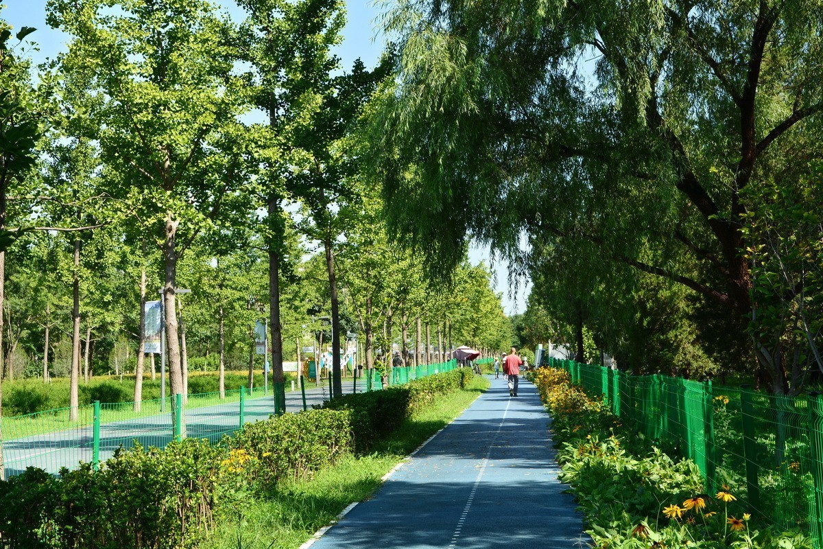 2023-135  东小口森林绿道