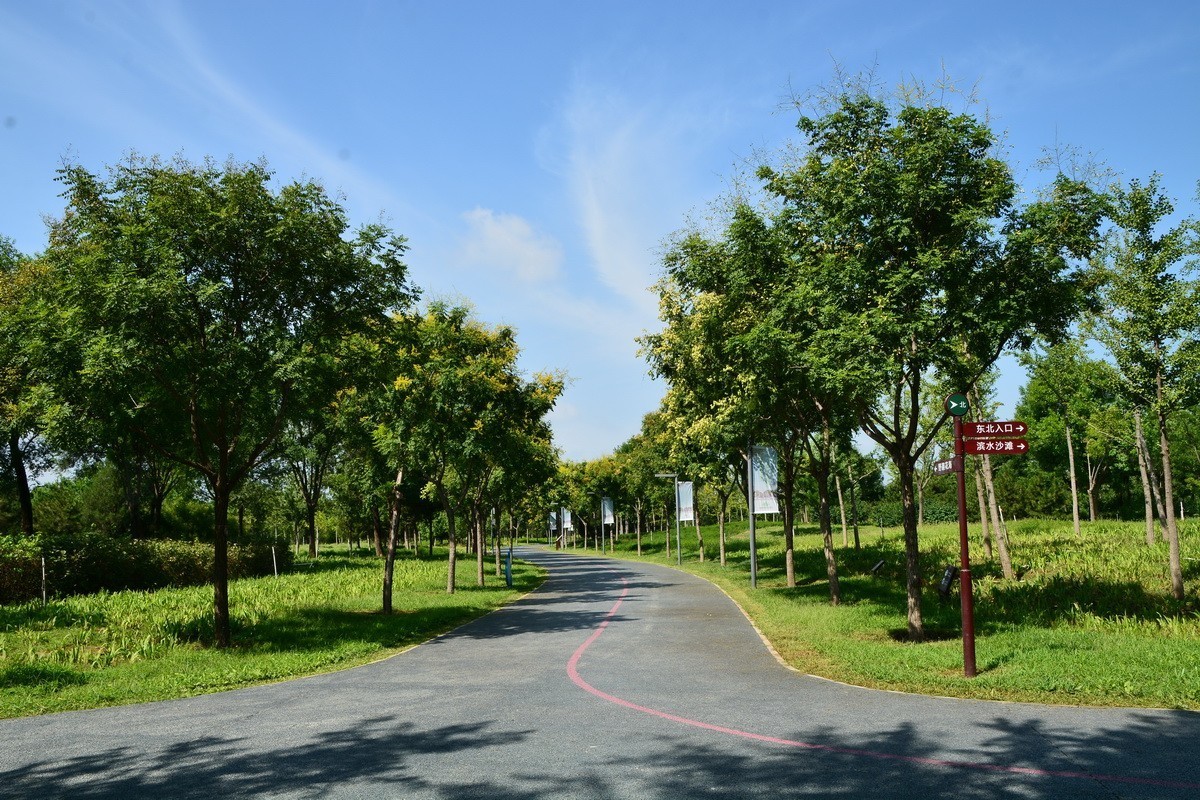 2023-135  东小口森林绿道