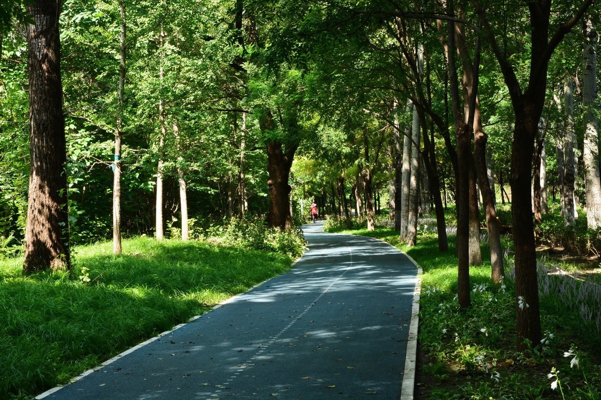 2023-135  东小口森林绿道