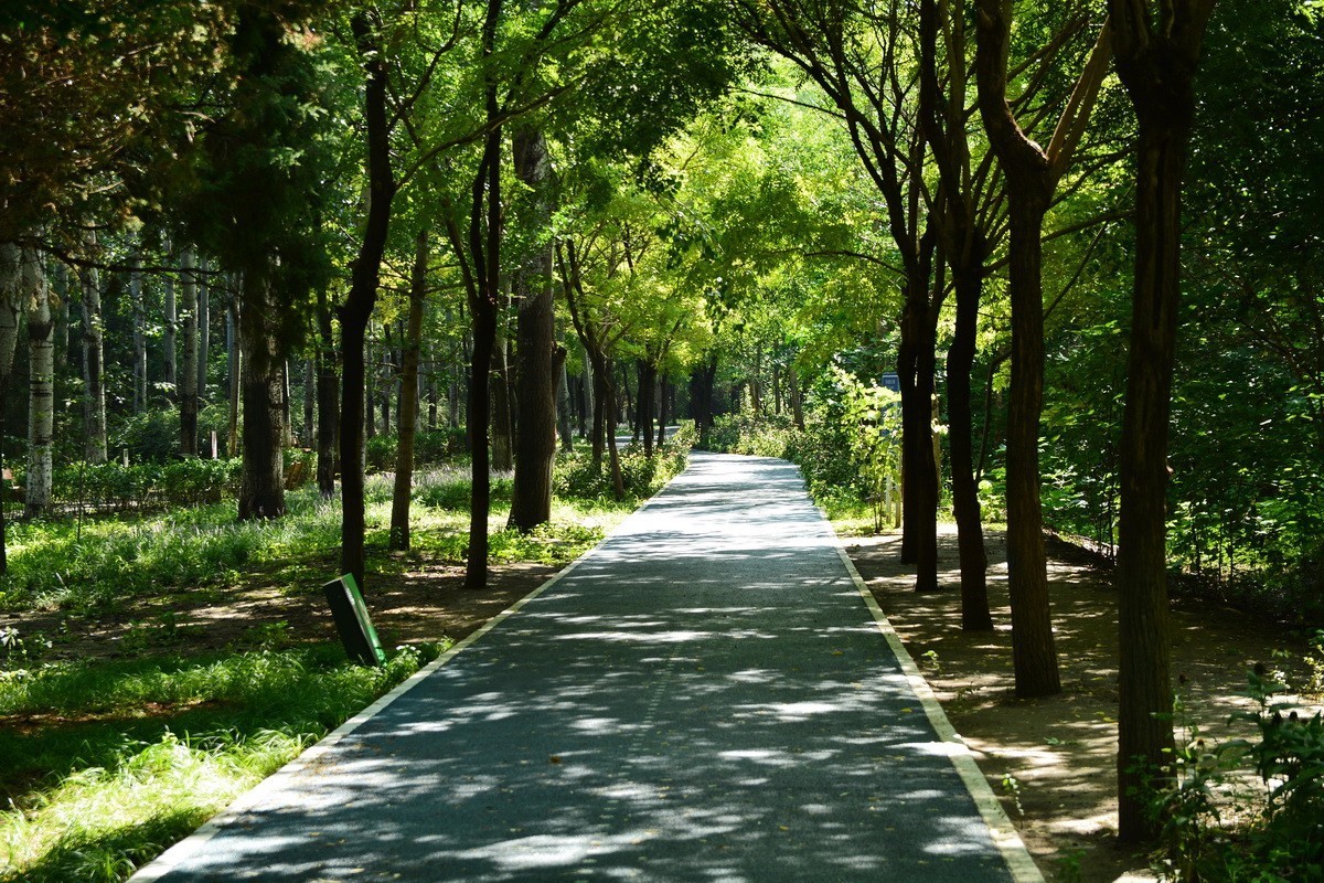 2023-135  东小口森林绿道