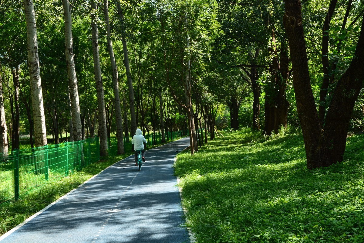 2023-135  东小口森林绿道