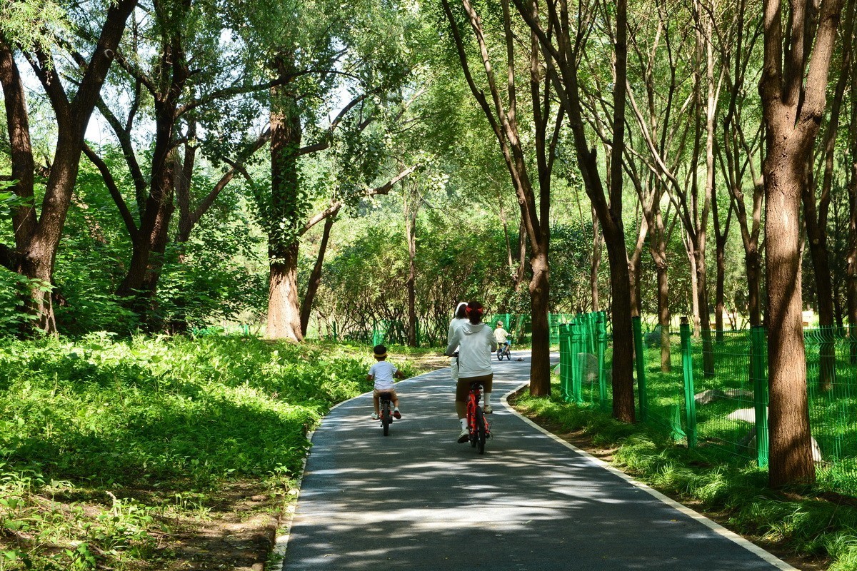 2023-135  东小口森林绿道