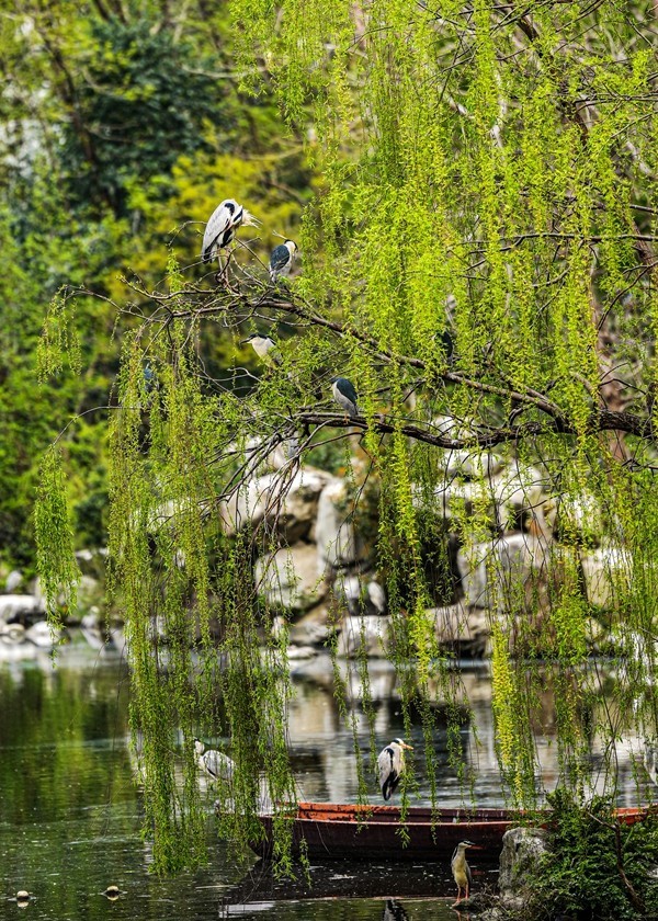 成都杜甫草堂【2】