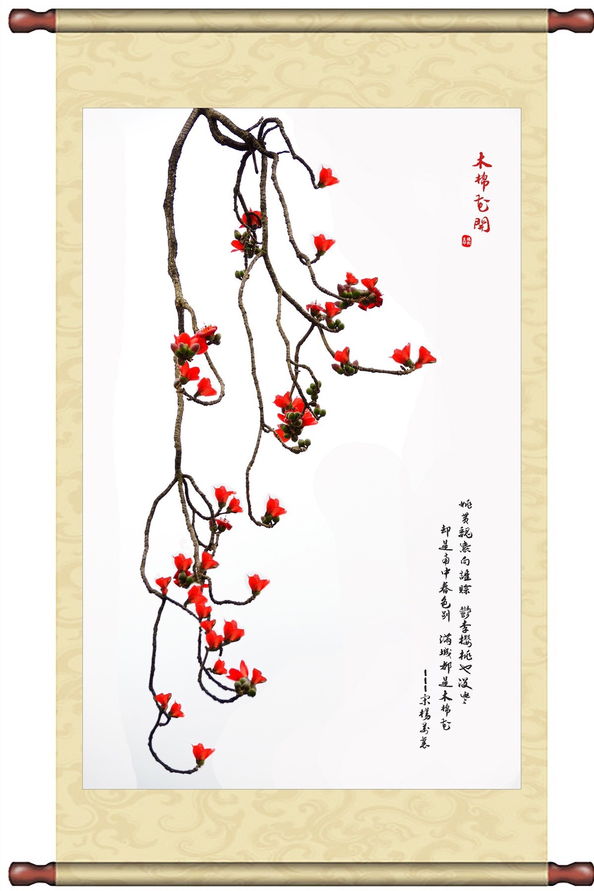 【广州市花——红棉花】
