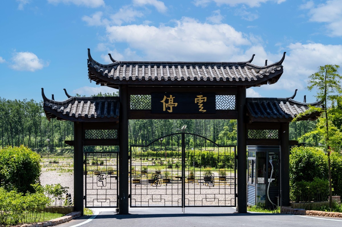 庐州印象（338）