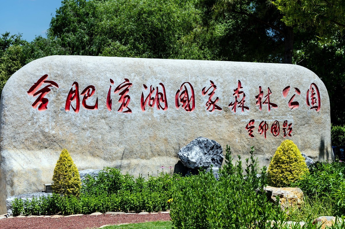 庐州印象（338）