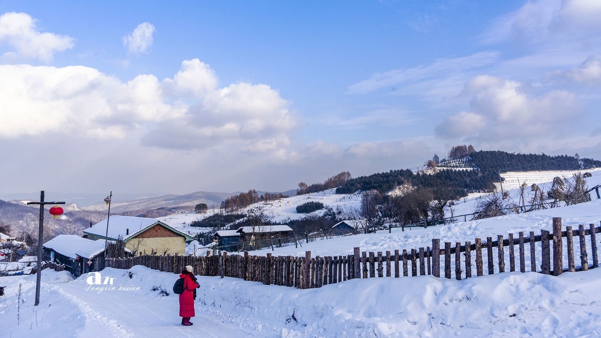 松岭雪村（14）