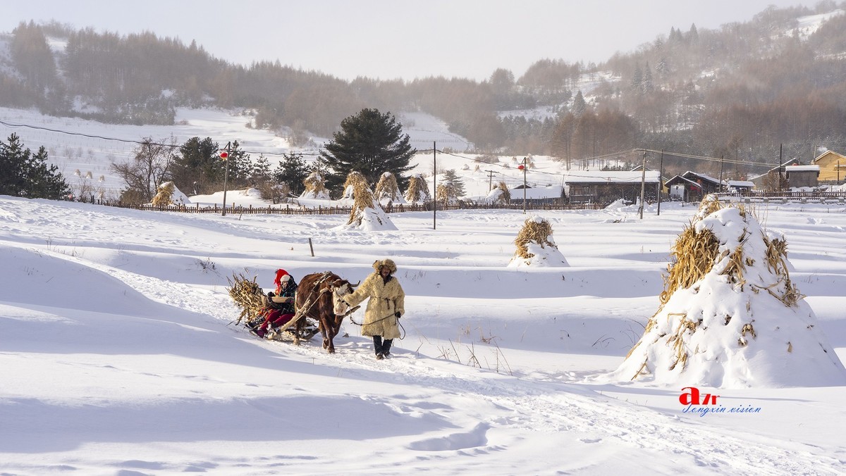 松岭雪村（14）