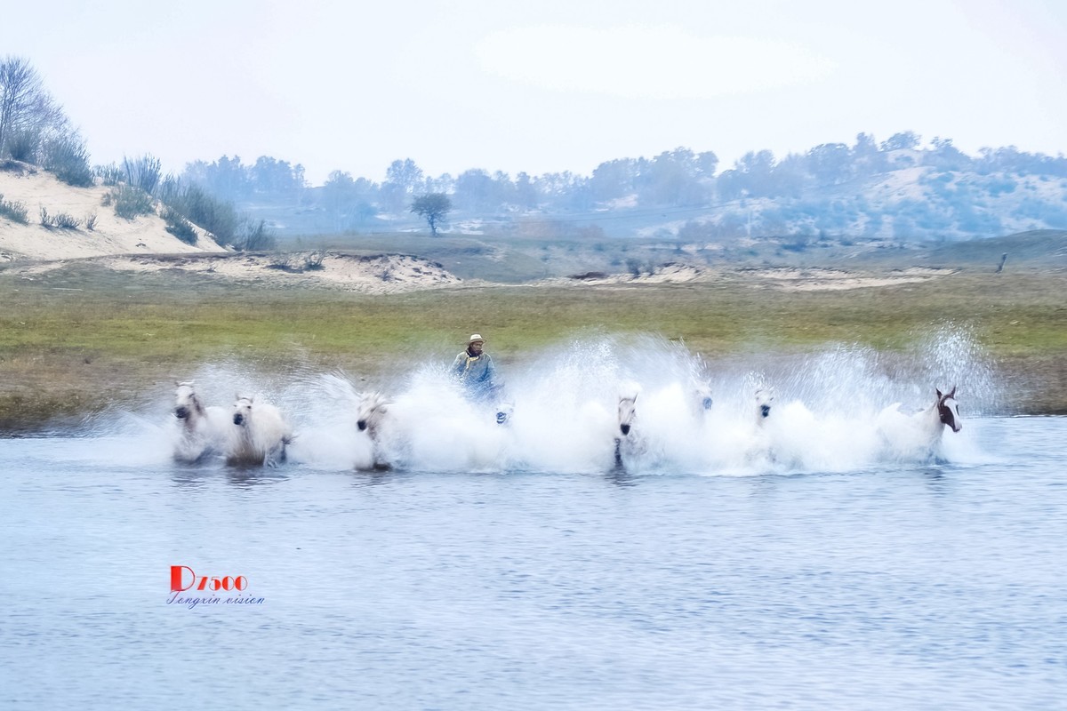 慢门 飞马踏水（3）