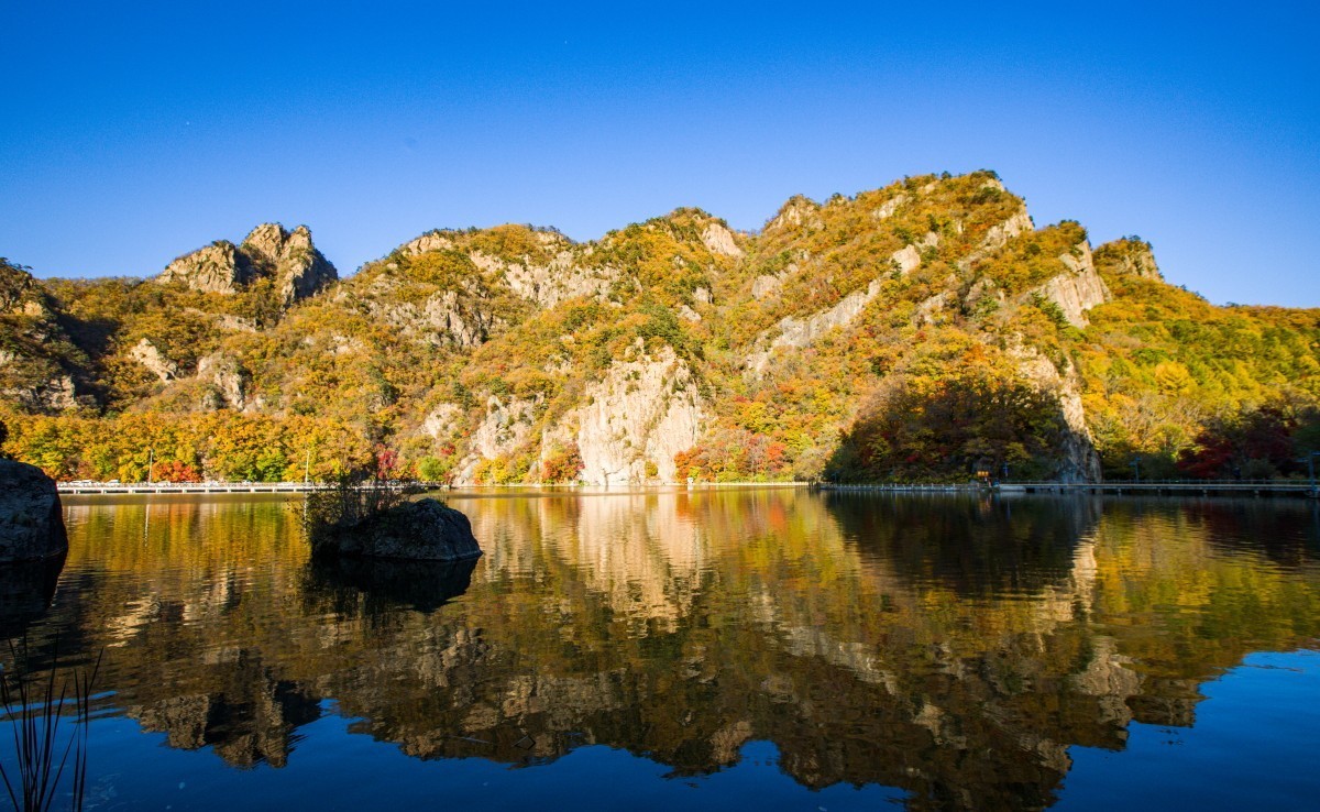 外出随拍（续255）.