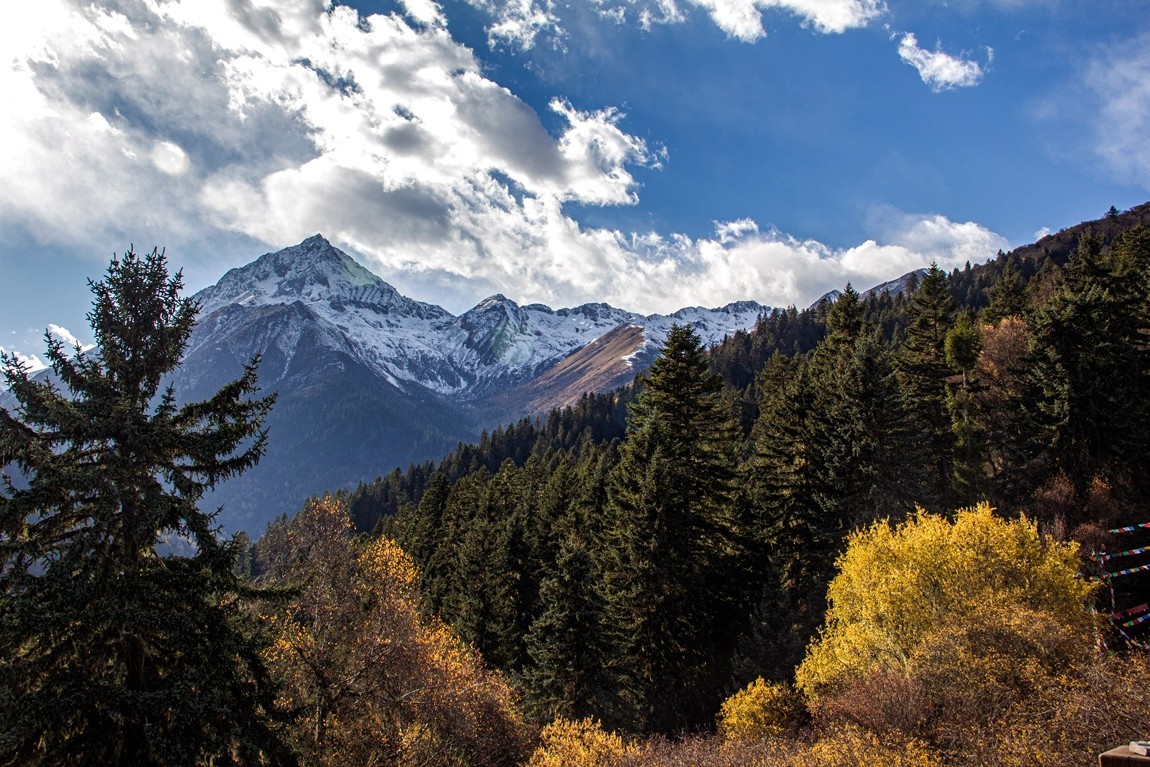 金秋川西行摄【3】