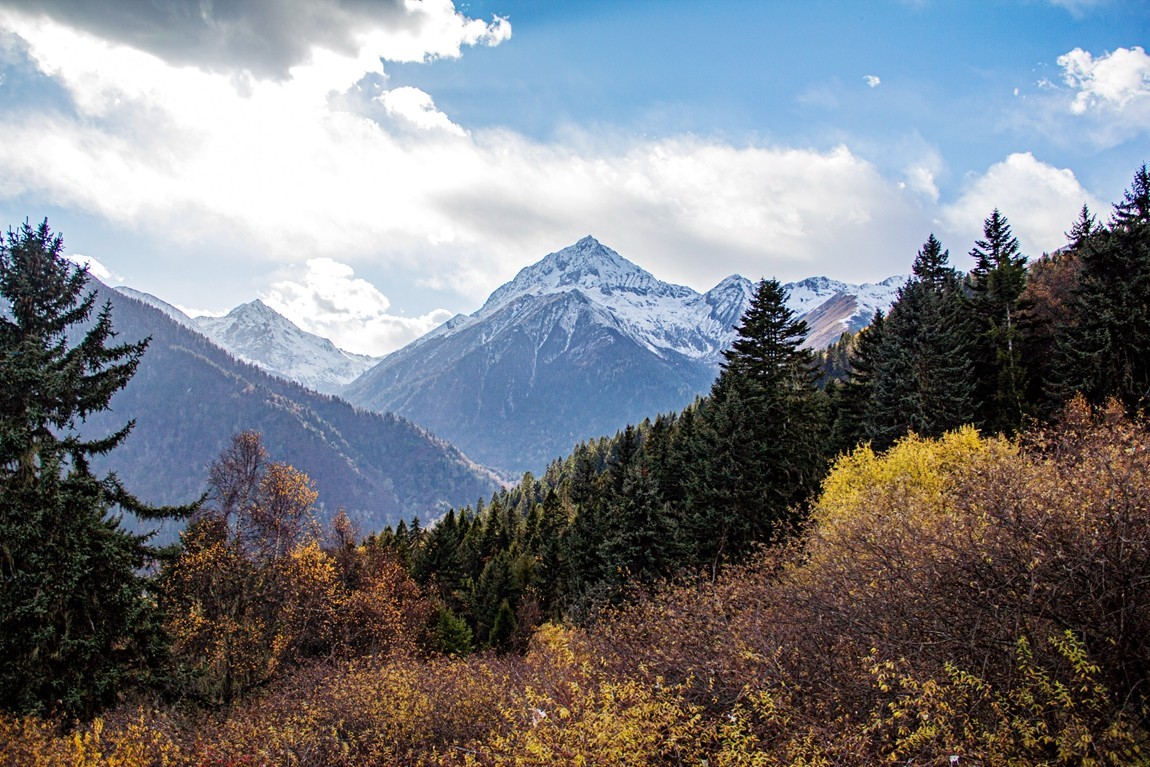 金秋川西行摄【3】