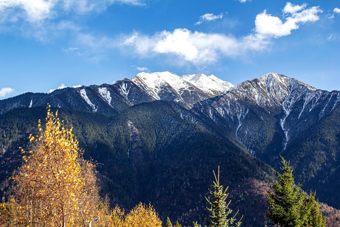 金秋川西行摄【3】