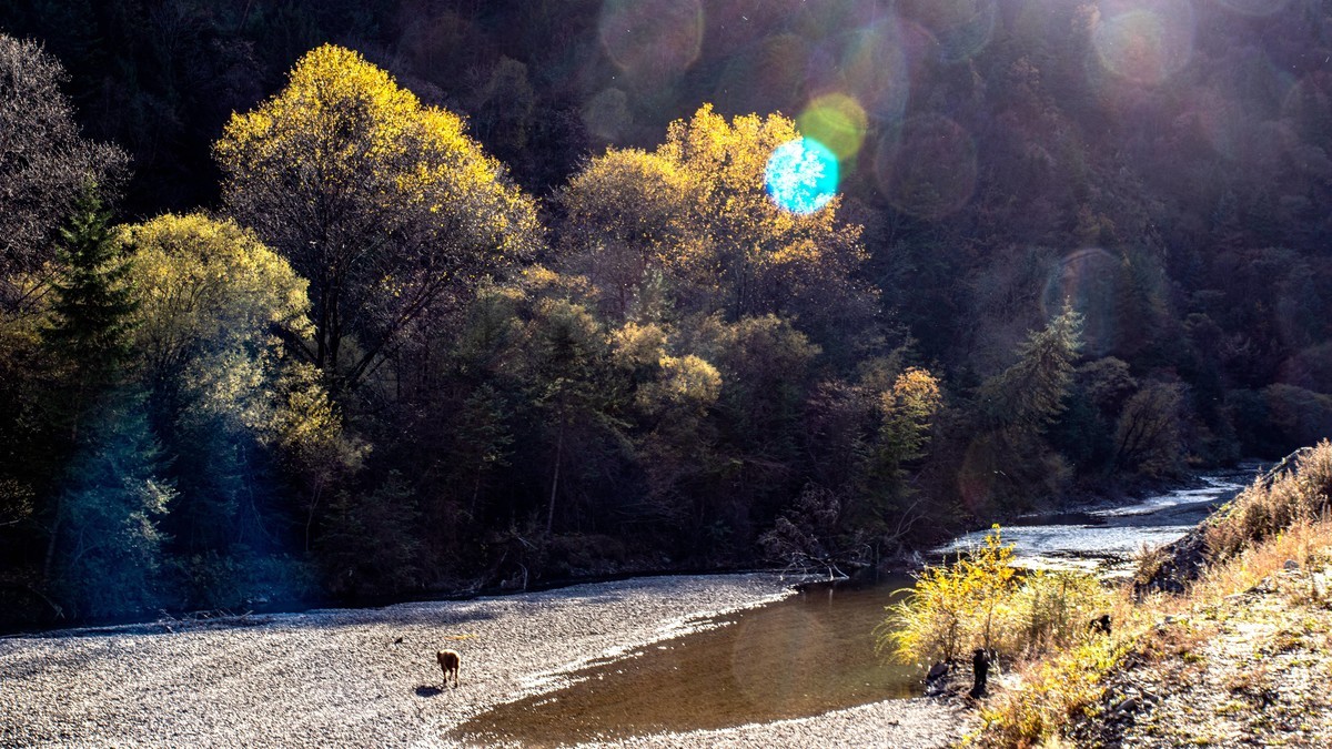 #遇见最美秋叶#川西--丹巴--藏区秋色【5】