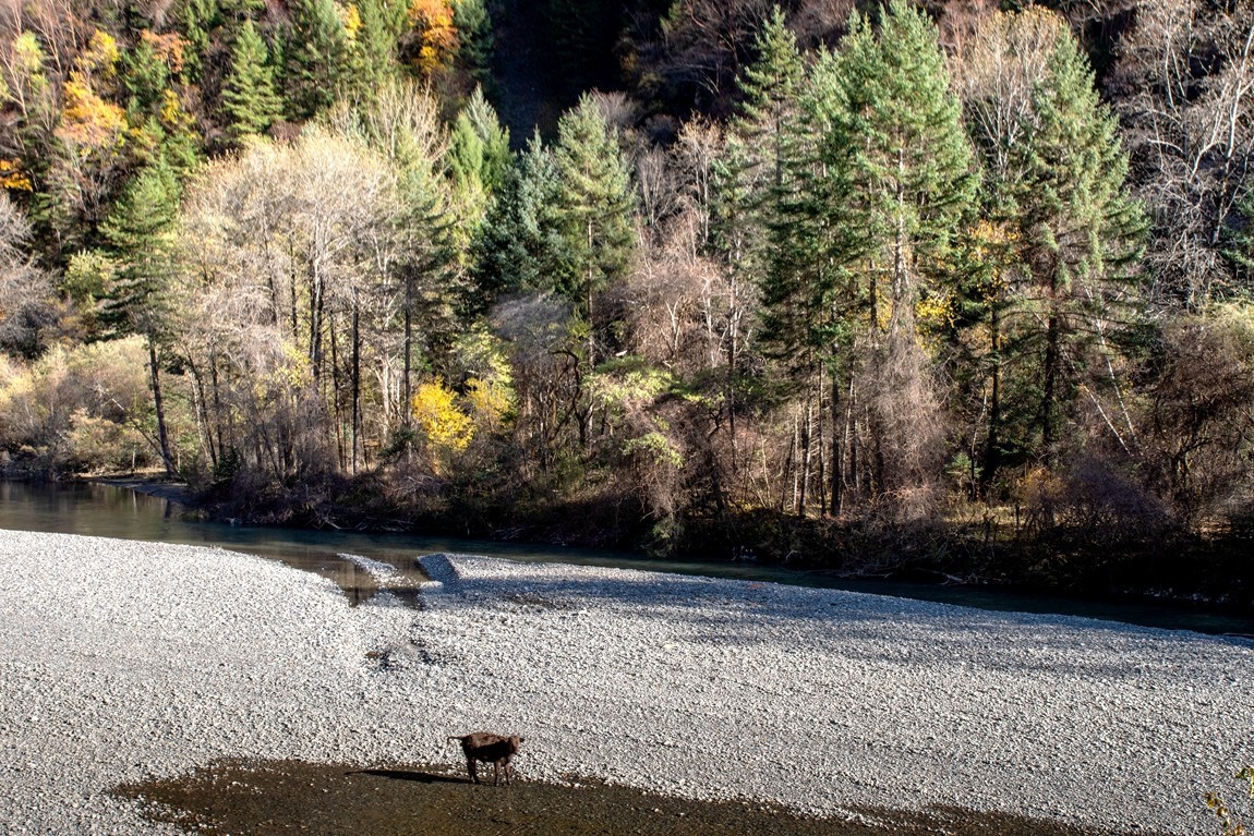 #遇见最美秋叶#川西--丹巴--藏区秋色【5】