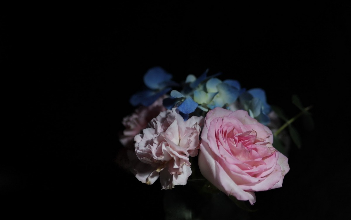 天气不好拍拍插花