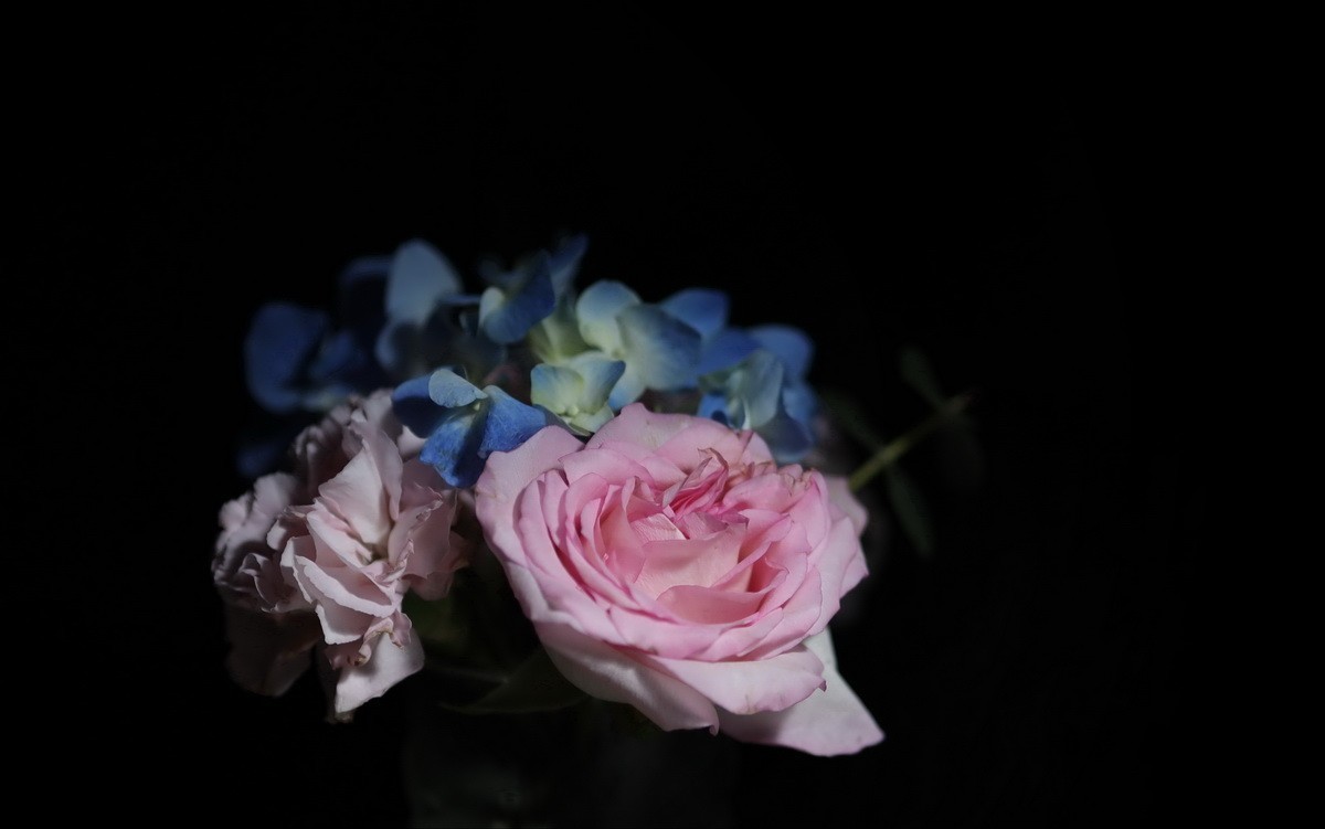 天气不好拍拍插花