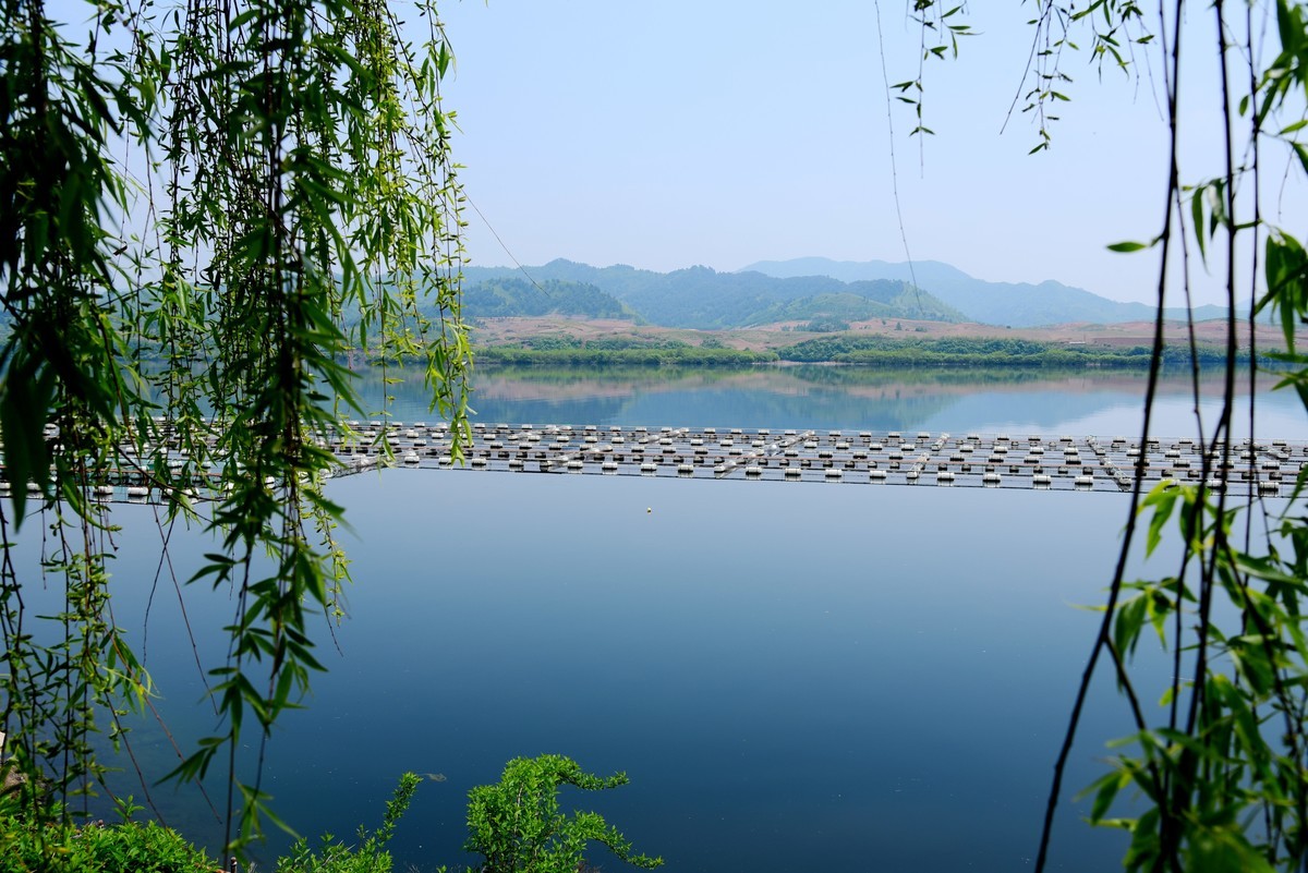 延吉自驾游途拍三－在那桃花盛开的地方