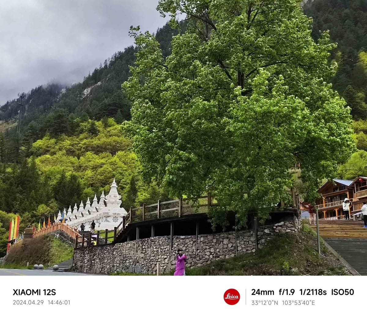 四川.....................九寨沟【续完】