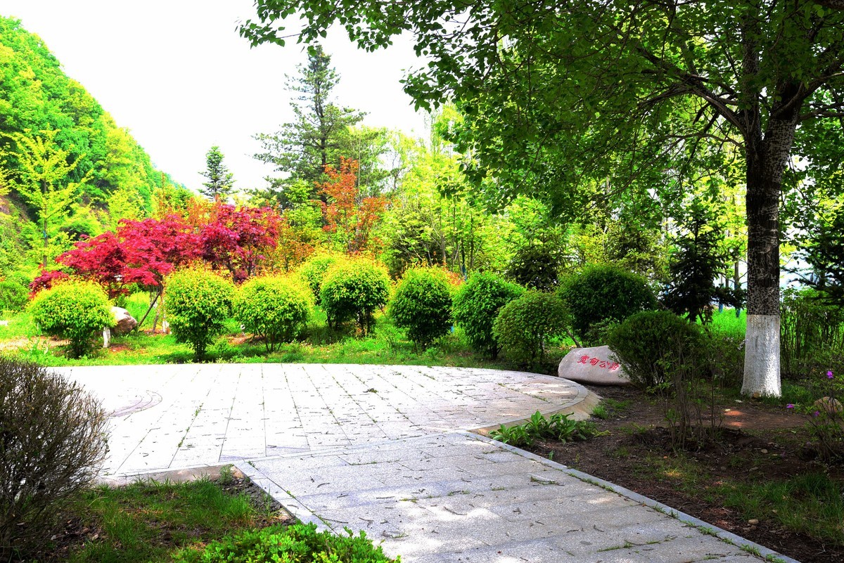 延吉自驾游途拍三－在那桃花盛开的地方