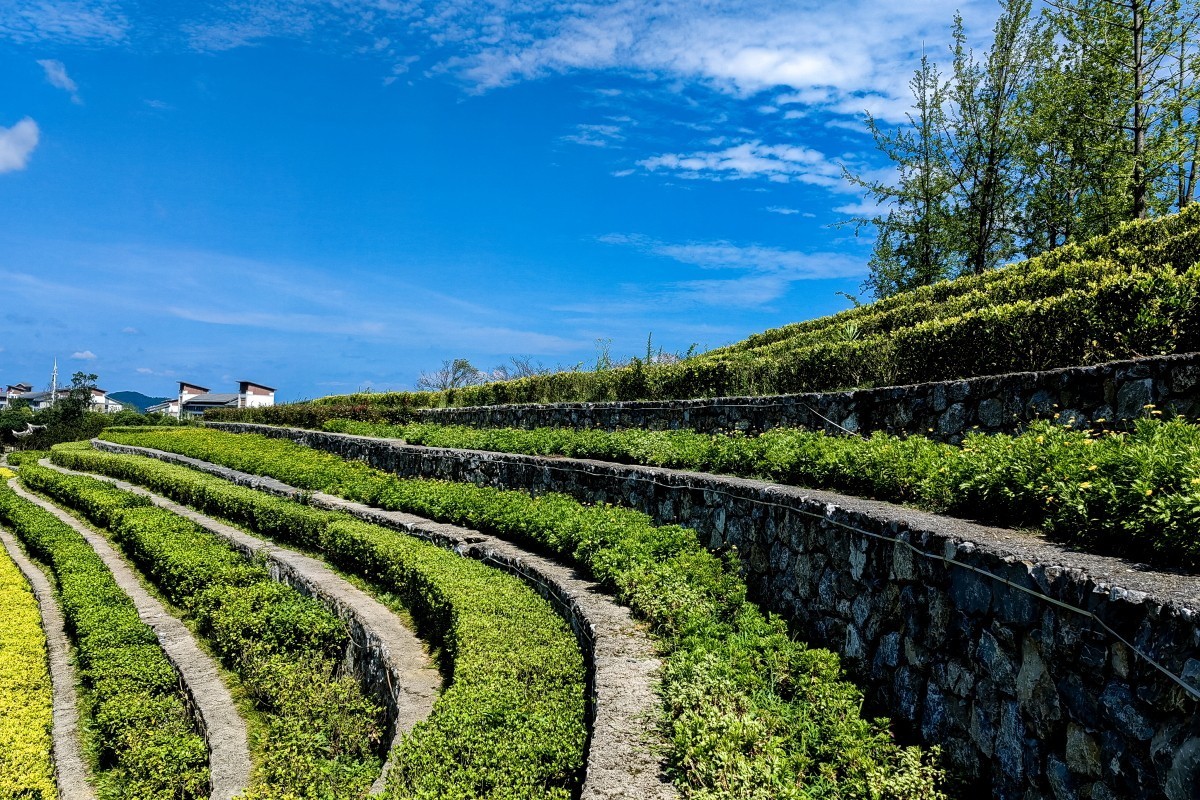 外出随拍（续150）.