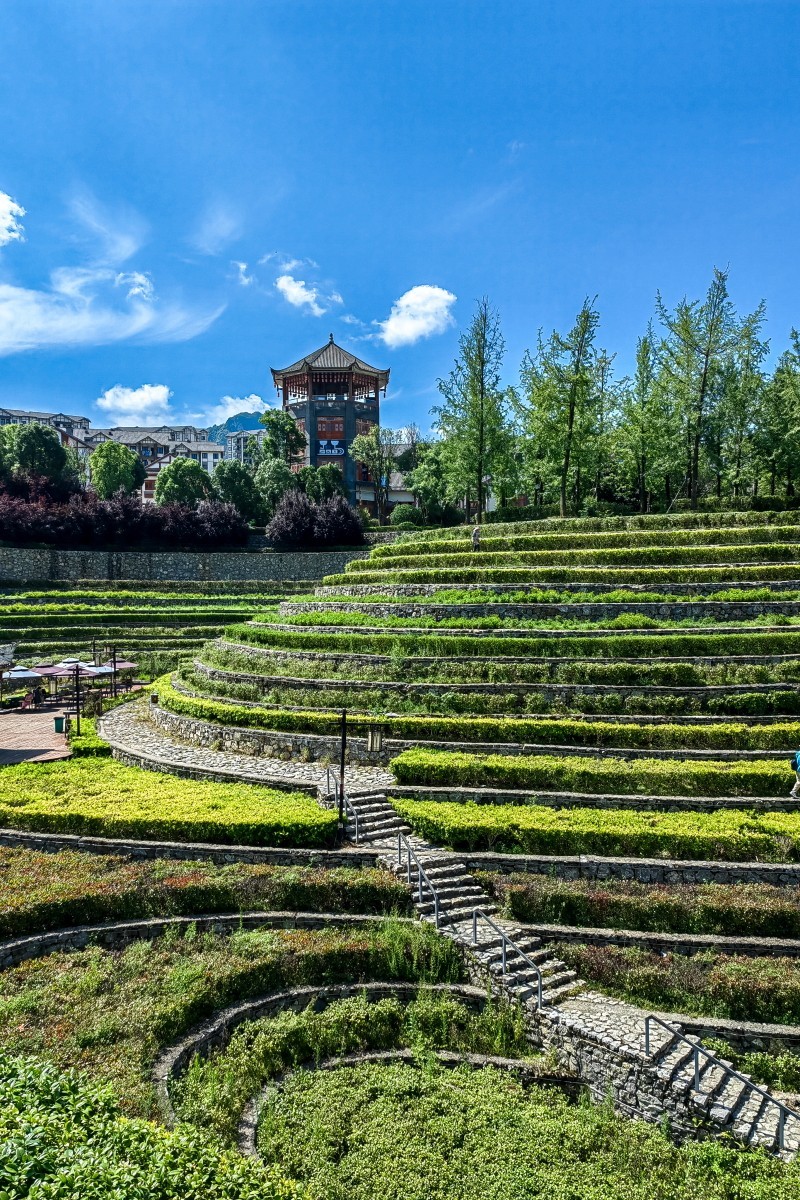 外出随拍（续150）.