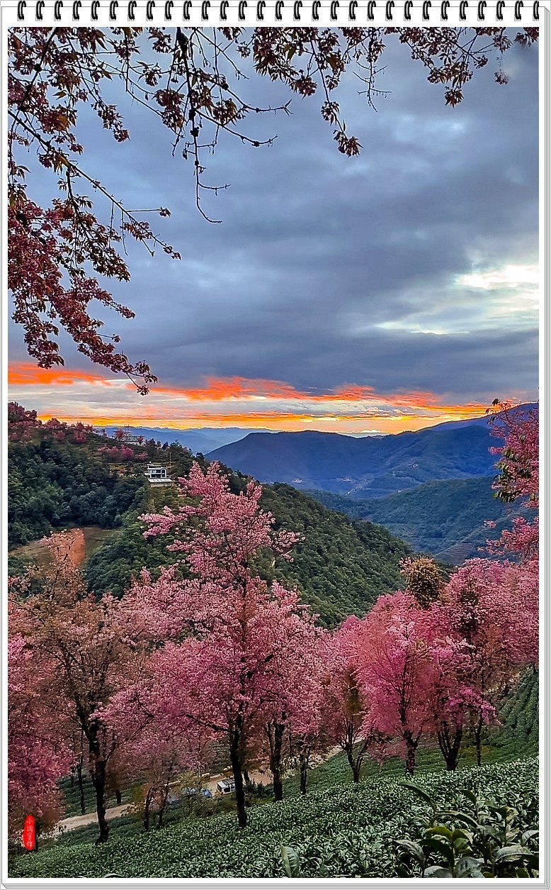 2025年- 人文风光纪实抓拍合集-0119