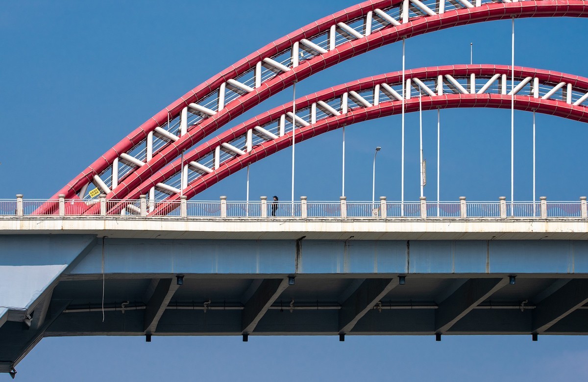 尼康D810加适马150-600镜头公园拍花、人、鸟杂片