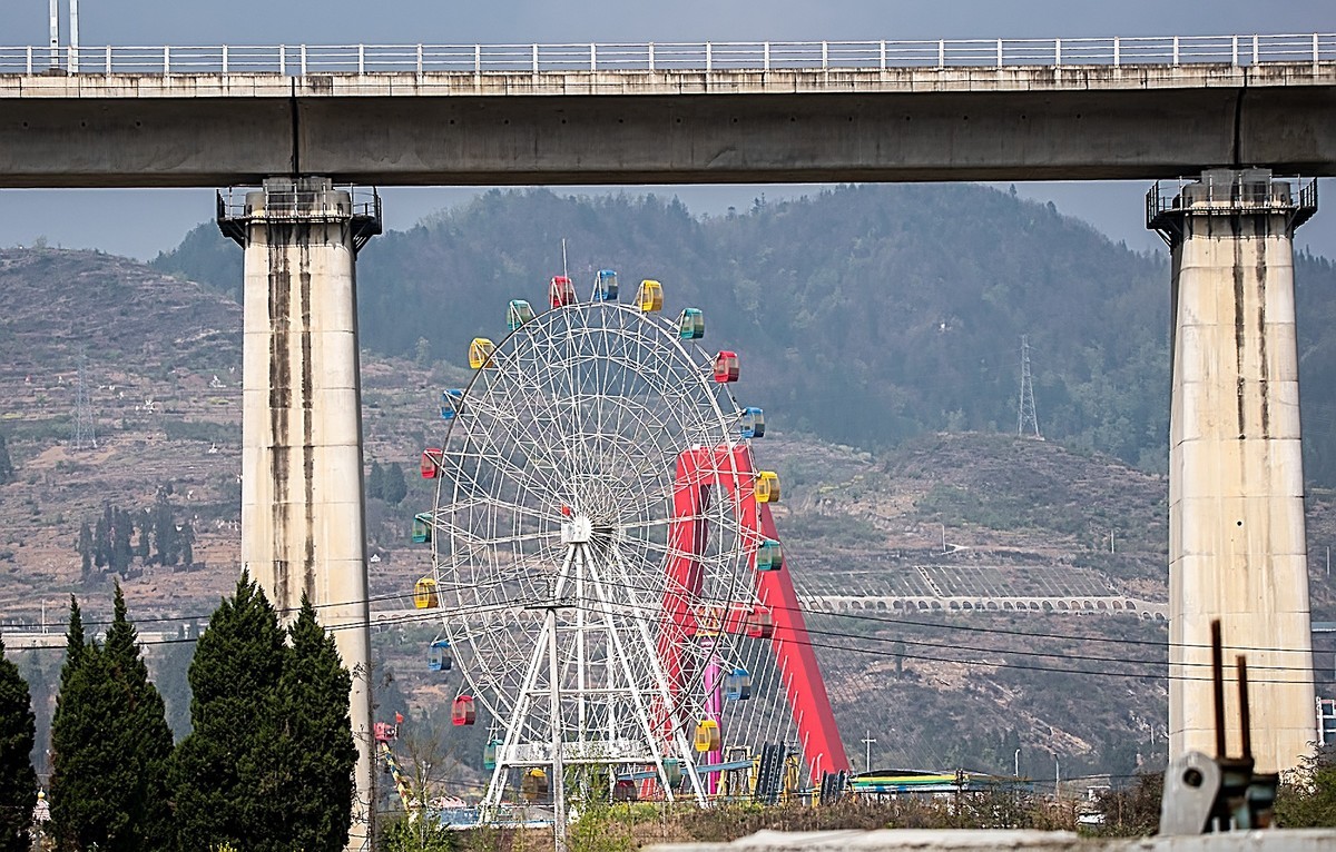 尼康D810加适马150-600镜头公园拍花、人、鸟杂片