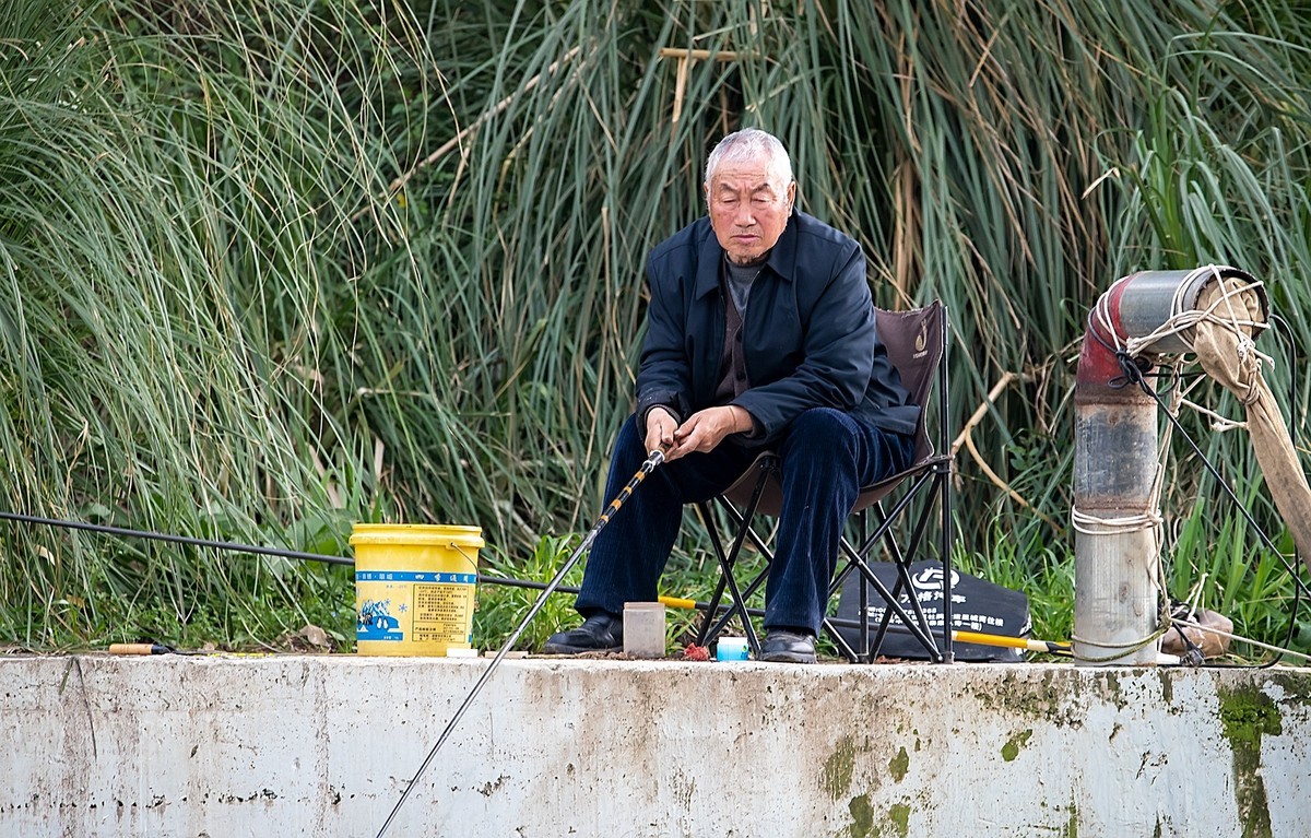 尼康D810加适马150-600镜头公园拍花、人、鸟杂片