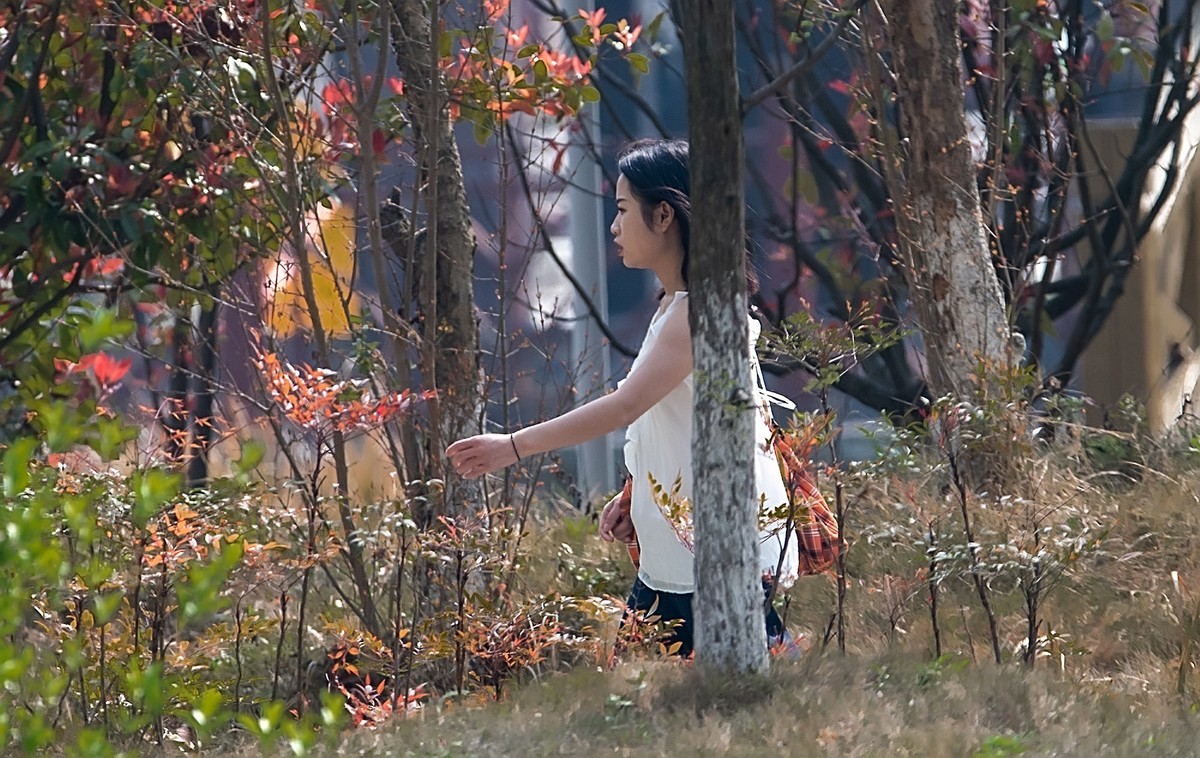 尼康D810加适马150-600镜头公园拍花、人、鸟杂片