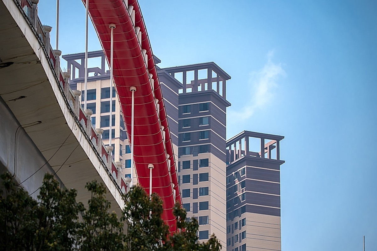 尼康D810加适马150-600镜头公园拍花、人、鸟杂片