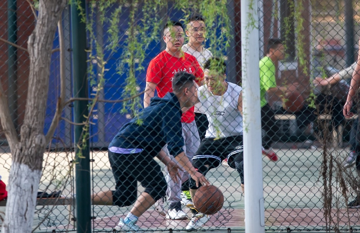 尼康D810加适马150-600镜头公园拍花、人、鸟杂片