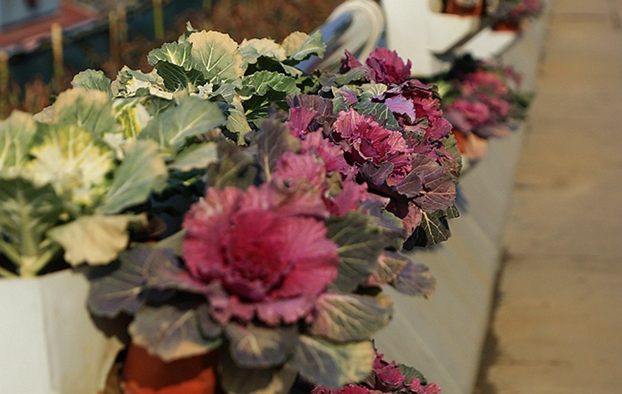 《不老松：忆海南游记》（02）济南机场外观！