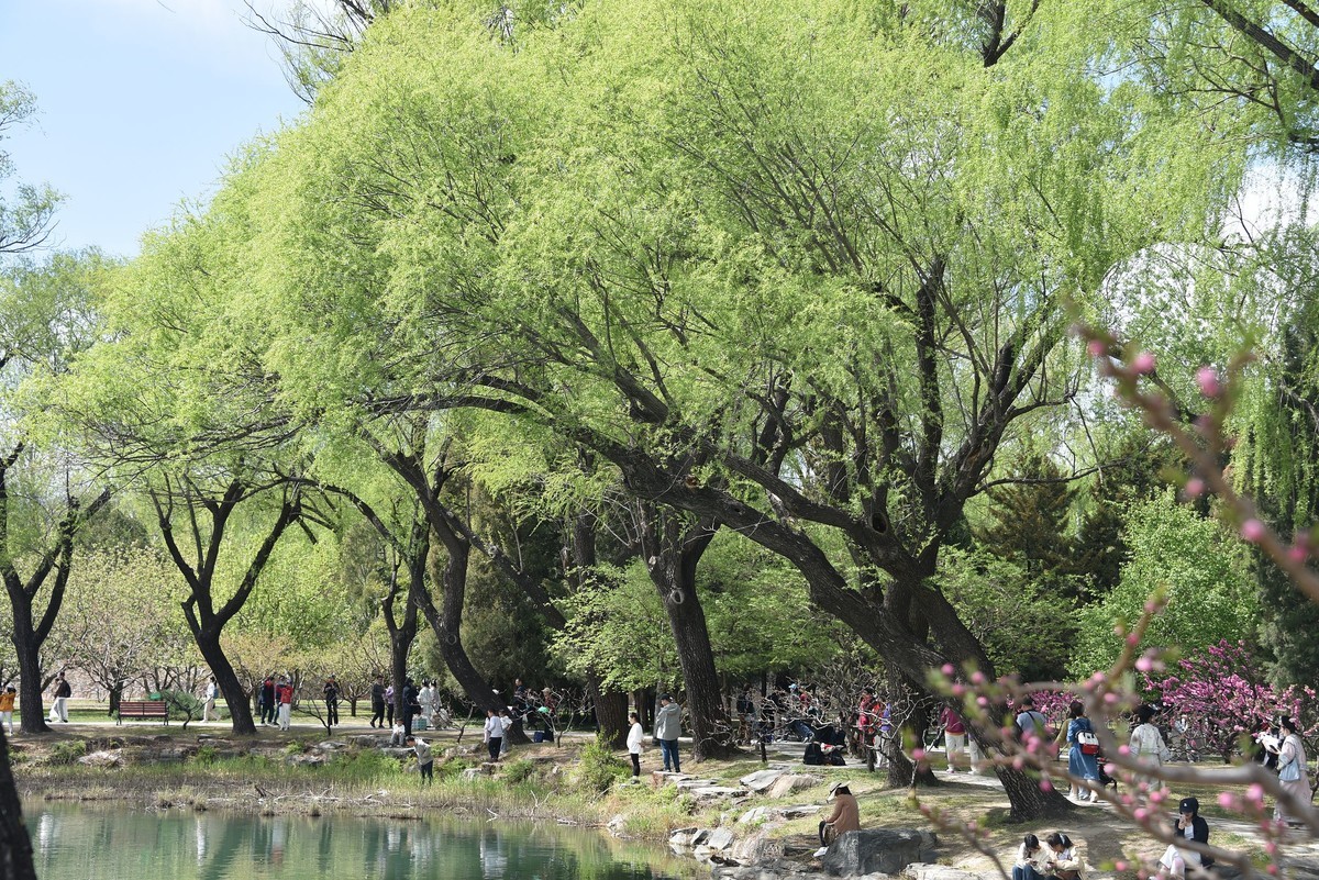 玉带桥边的风景