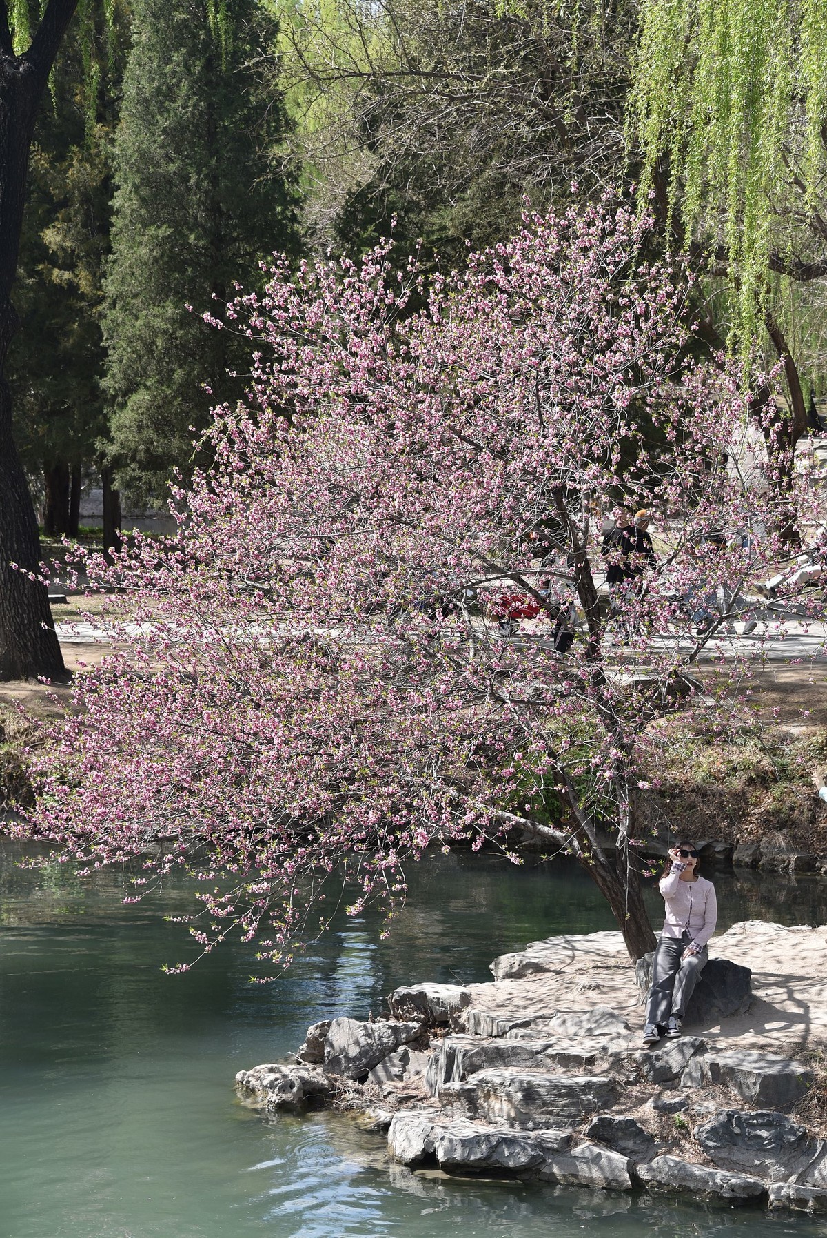 玉带桥边的风景