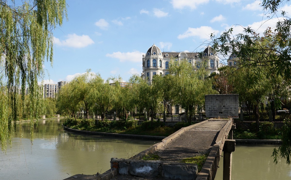 申城冬柳（一）