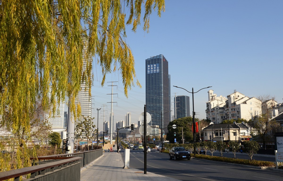 申城冬柳（一）