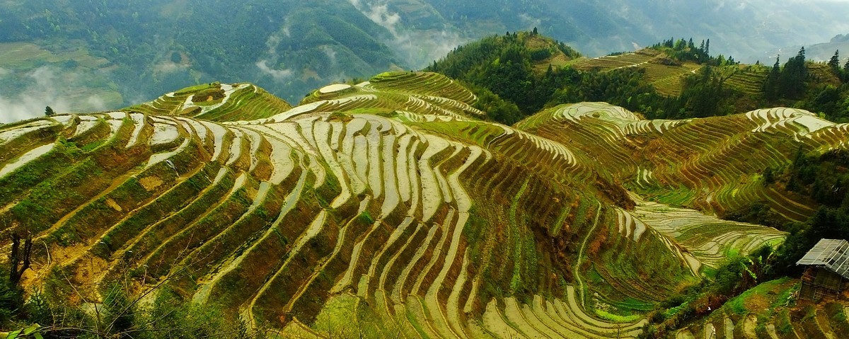 记忆中的云锁龙脊梯田美景
