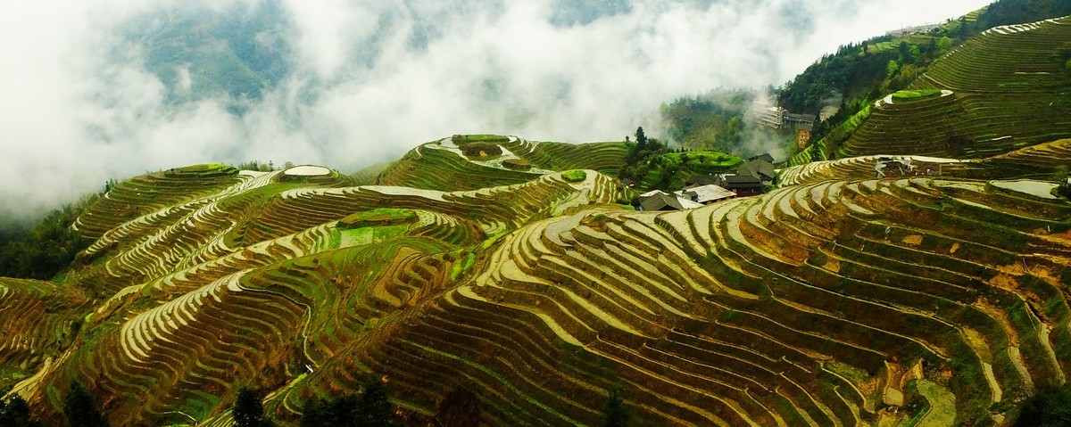 记忆中的云锁龙脊梯田美景