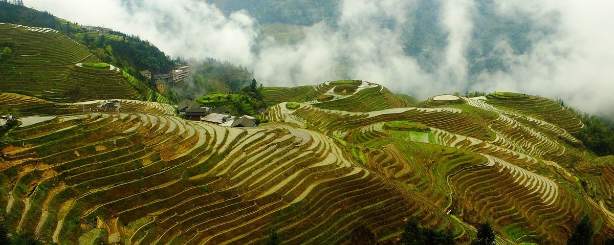 记忆中的云锁龙脊梯田美景