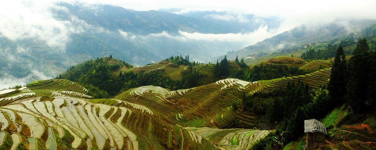 记忆中的云锁龙脊梯田美景