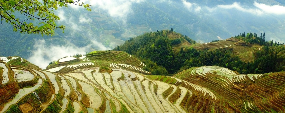 记忆中的云锁龙脊梯田美景