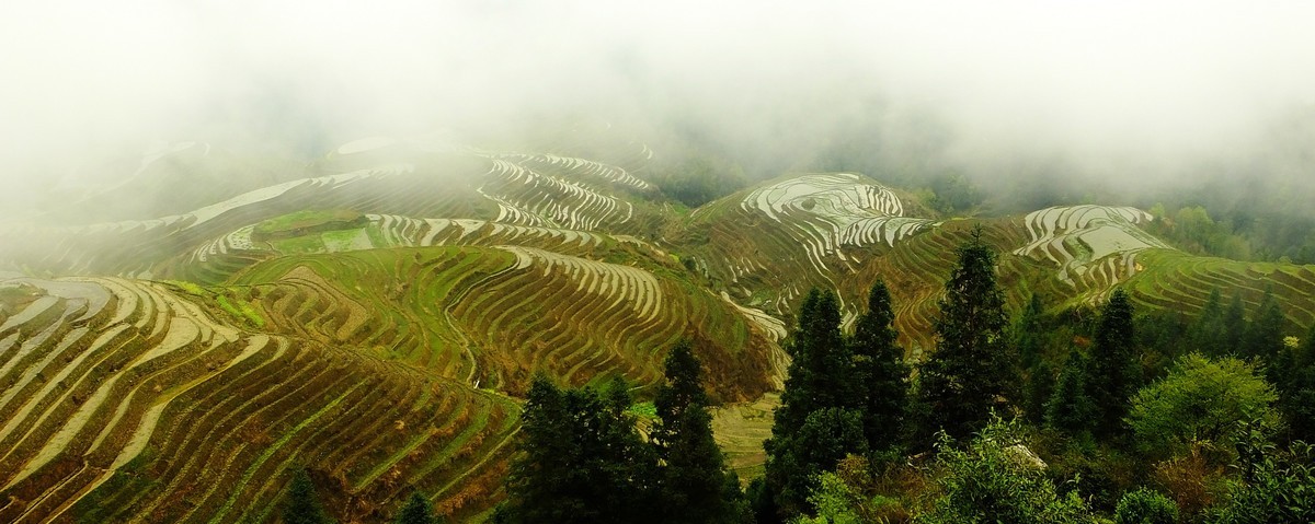 记忆中的云锁龙脊梯田美景